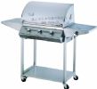 Gas Barbecue Grill